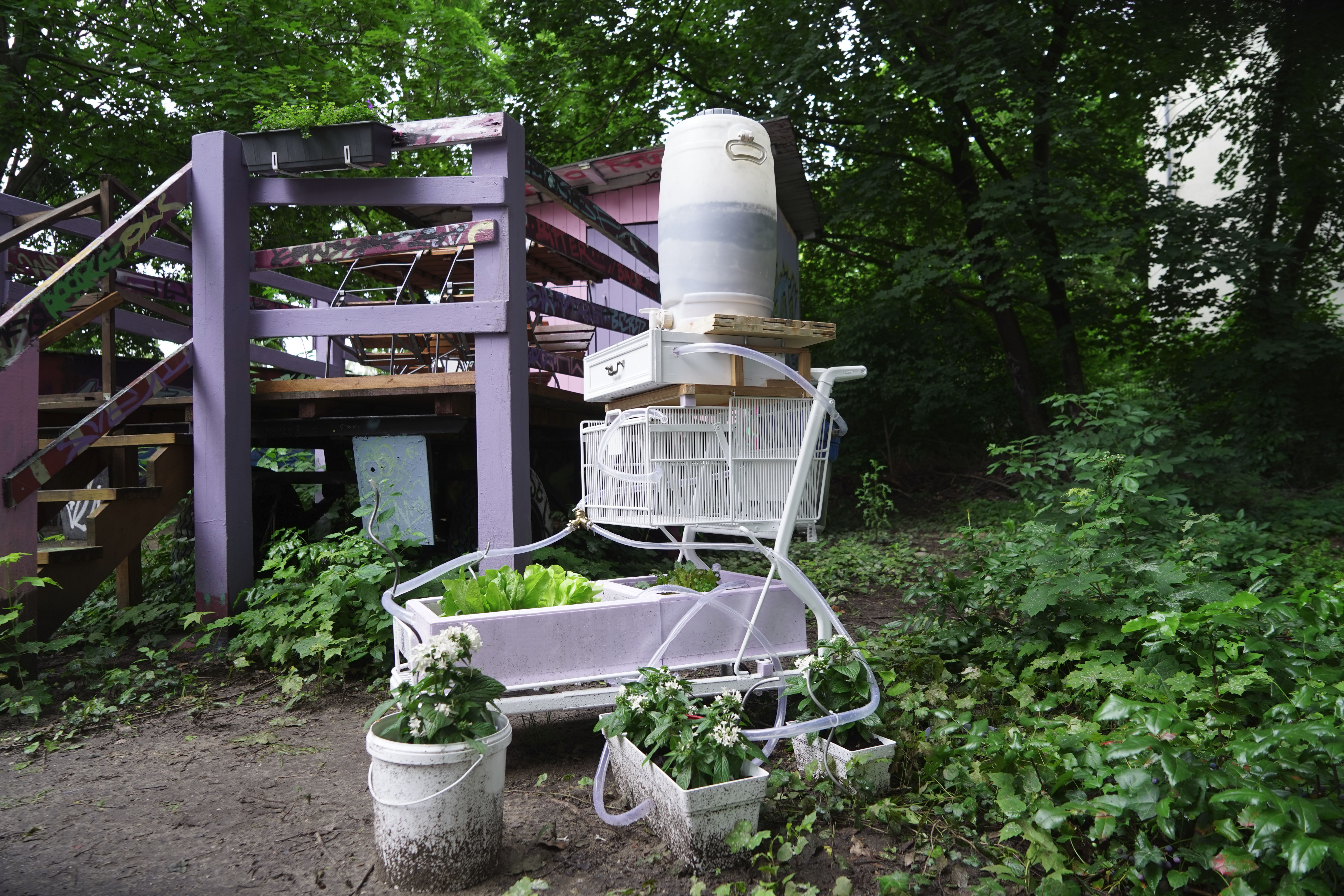 Der (von) Bier(erwachsene)Garten